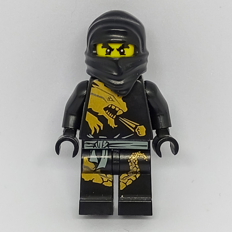 Lego Cole DX