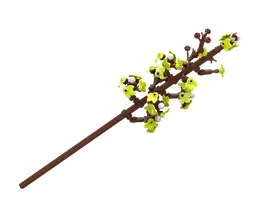 Cherry Blossoms (40725-1) - Tsubomi