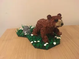 Bear Cub