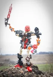 Toa Kaita Akamai