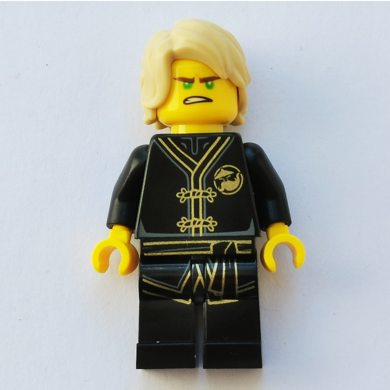 Lego Lloyd in Black Training Gi
