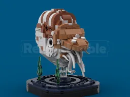 Chambered Nautilus