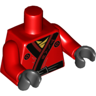 Lego Torso Robe with Asian Characters and Knotted Black Sash on Front / Gold Emblem on Circle inside Hexagon on Back Print, Red Arms, Black Hands / Red