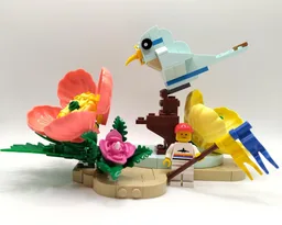 31156 Bird