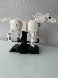 Galloping Horse