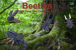 Beetles 31088 2 to 1