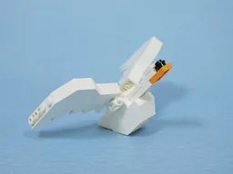 Swan
