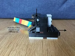31147 Functional Polaroid