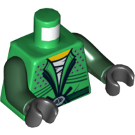 Lego Torso Robe, Belt and Silver Diamonds Front and Golden Snake Back Print, Dark Green Arms, Black Hands / Green