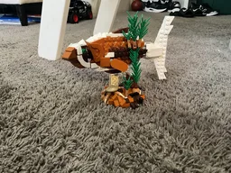 Forest fish
