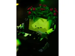 Rocking and Rolling Plants
