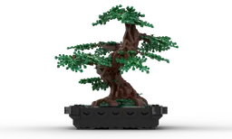 Bonsai By Kai