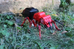 The Fire Ant Queen (V2)