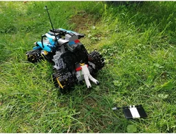 42095 Beach Buggy (RC) Alternate