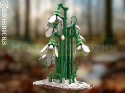 Snowdrops in the forest
