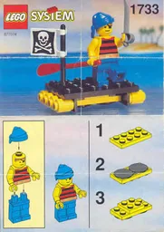 Shipwrecked Pirate