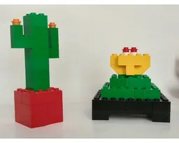 6166 Cacti