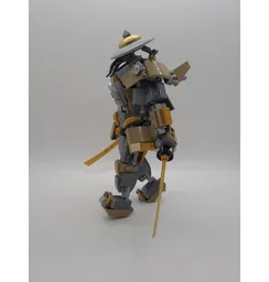 The Ronin