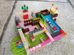 Rabbit maze