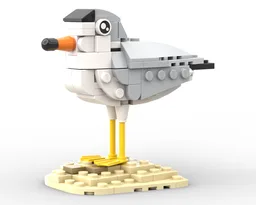 Piping Plover
