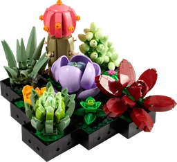 Succulents
