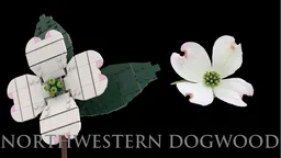 Flower Set