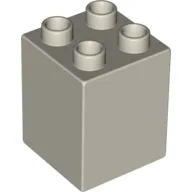 Duplo Brick 2 x 2 x 2 / Very Light Gray