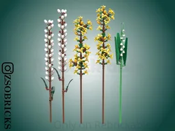 Spring flowers