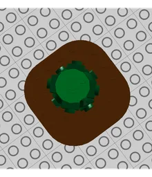 Green Wild Flower