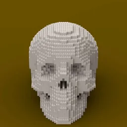 Skull