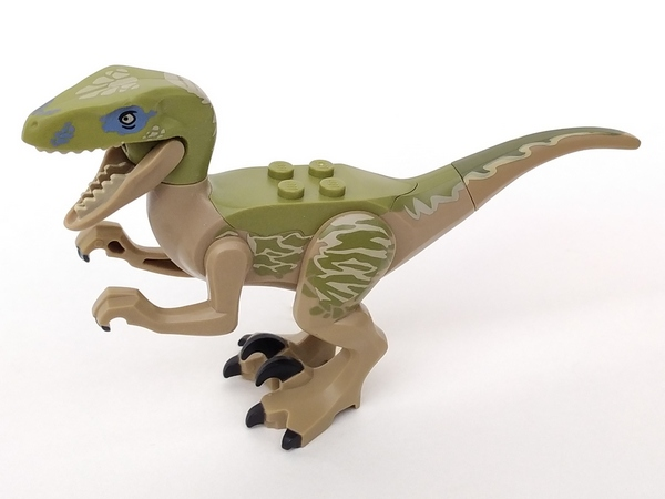Lego Dinosaur Raptor / Velociraptor with Olive Green Back and Tan Markings (Jurassic World Delta)