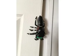 Cute Jumping Spider