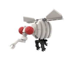 09 Drosophila melanogaster