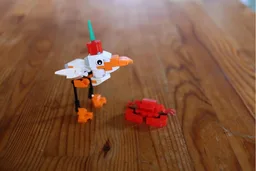 Seagull and Crab