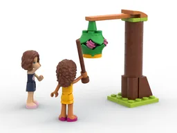 41677 Pinata