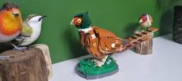 Pheasant
