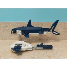 Hammerhead Shark