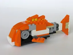 31017: Koi Karp