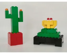6166 Cacti