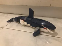 31088 Orca (Orcinus Orca)