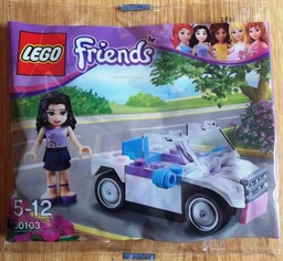Car polybag