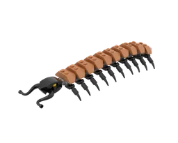 11 Centipede