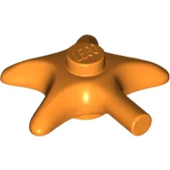 Animal, Starfish / Orange