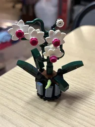 Micro Orchid
