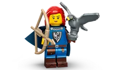 Falconer