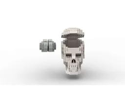 Human Skull with brain