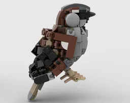House Sparrow