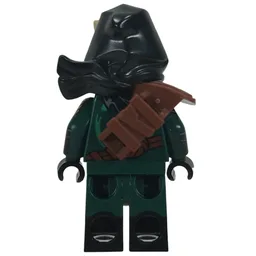 Mysterious Ronin