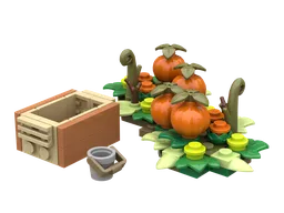 Field Pumpkins