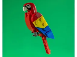 Scarlet Macaw body